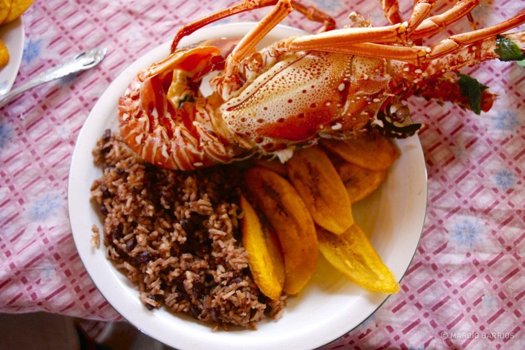 A fresh lobster with red beans and rice, and tajadas