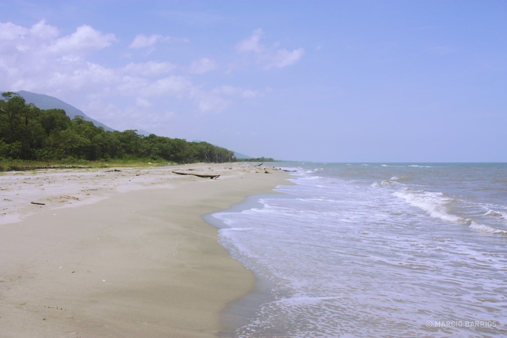 Unspoiled Caribbean beach close to Cacao Lagoon