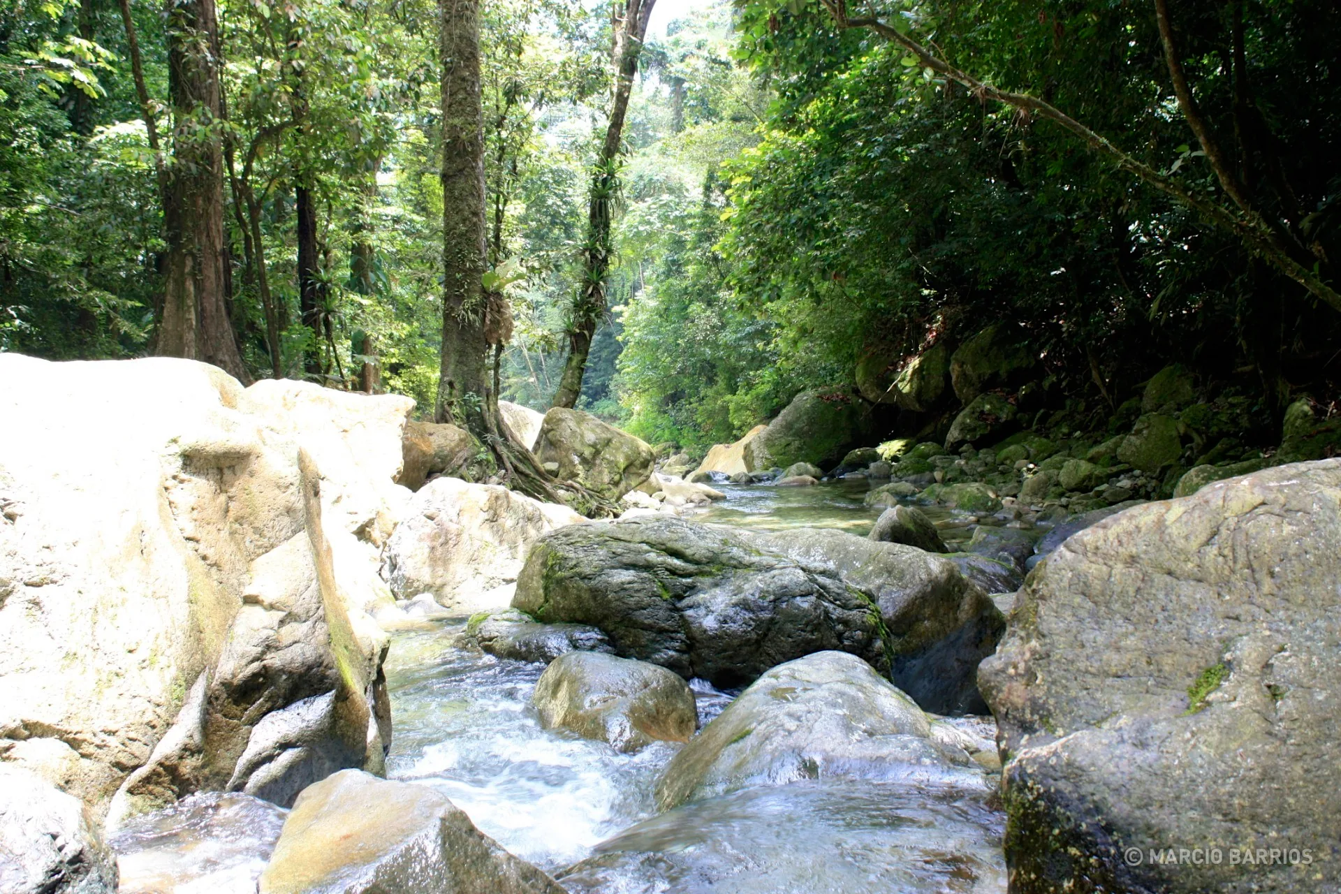 Zacate river Zacate river