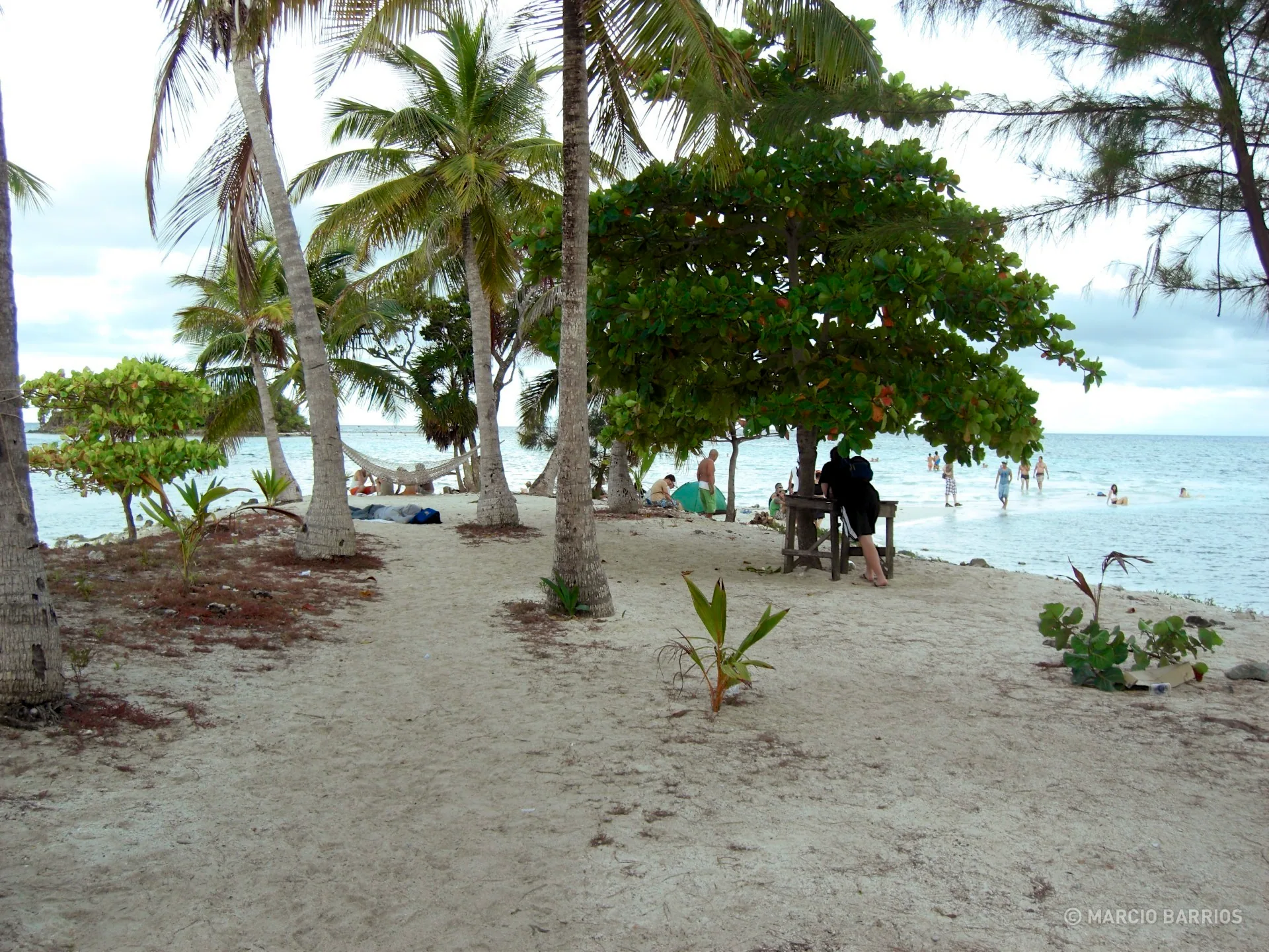 Water cay, a cay near Utila Water cay, a cay near Utila
