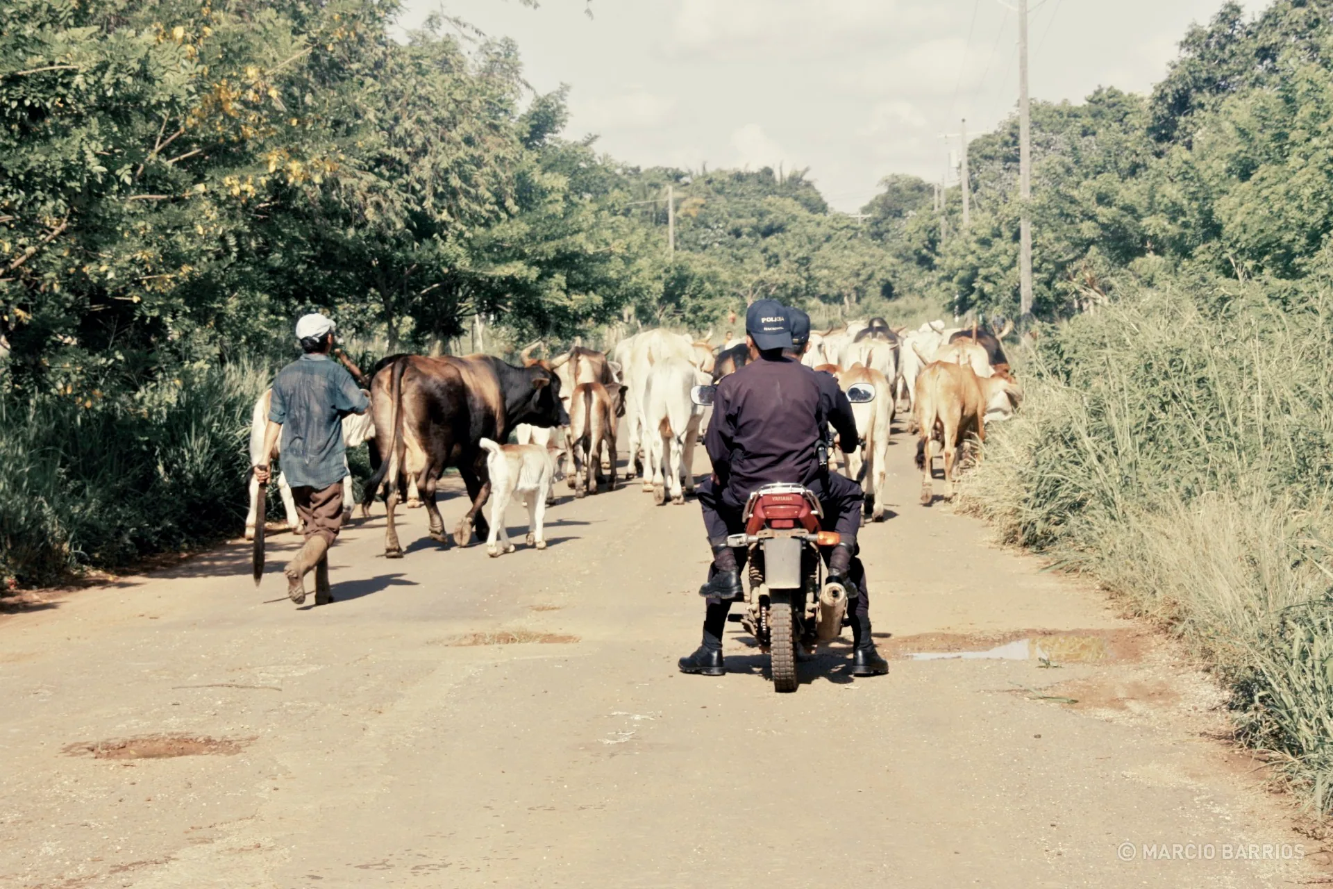 Policemen and a rancher in northern Utila Policemen and a rancher in northern Utila