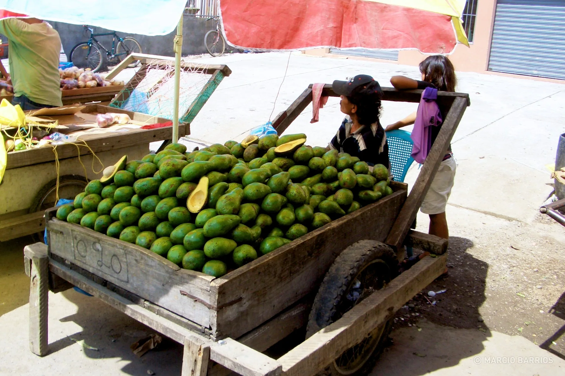 Street vendor selling avocados Street vendor selling avocados
