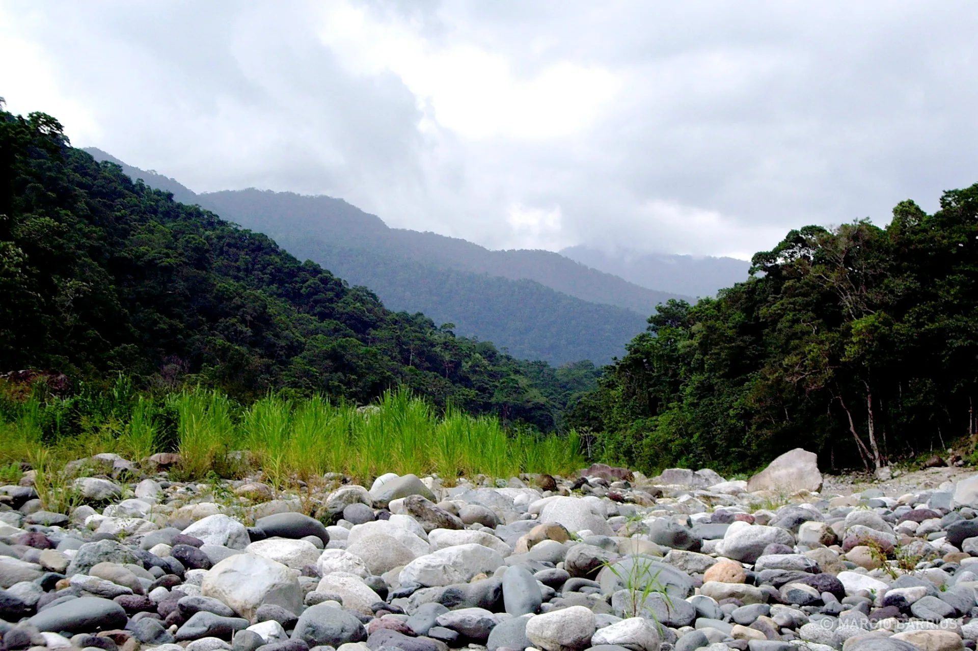 Cangrejal river shore Cangrejal river shore