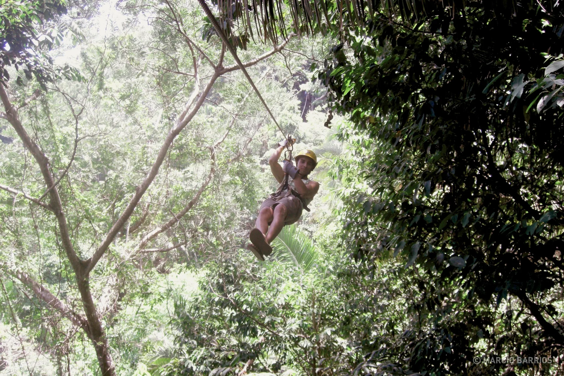 Canopy in Glenda's Paradise Canopy in Glenda's Paradise