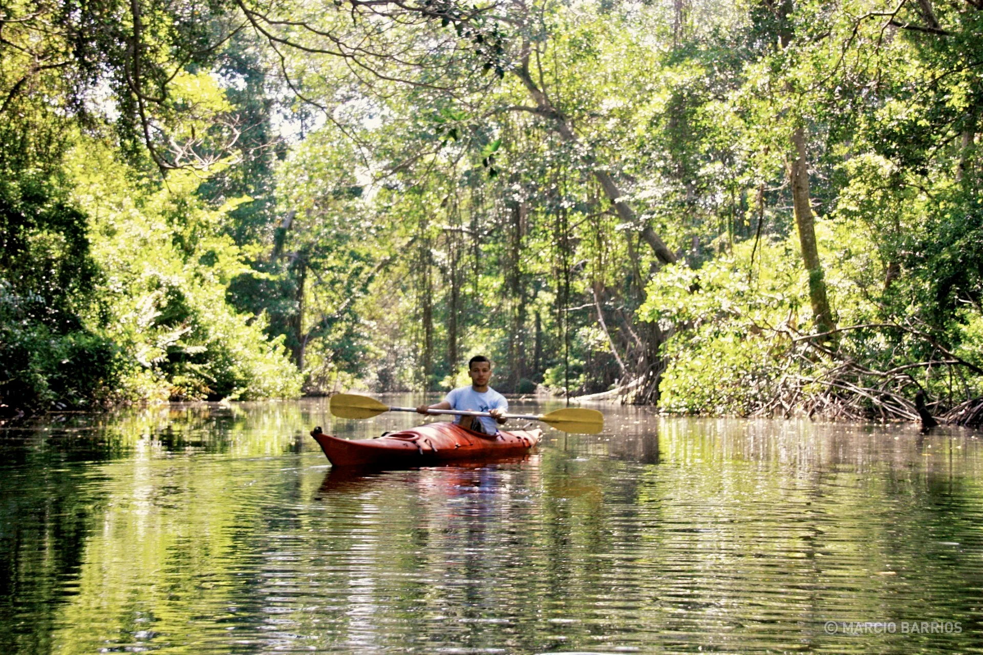 Kayaking in Cacao Lagoon Kayaking in Cacao Lagoon