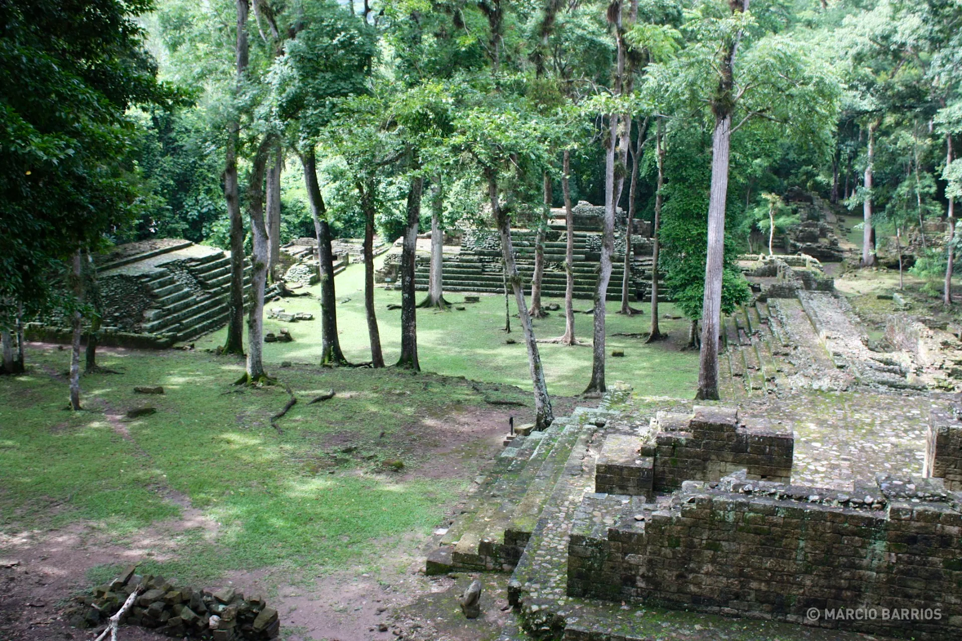Cementery group Cementery group