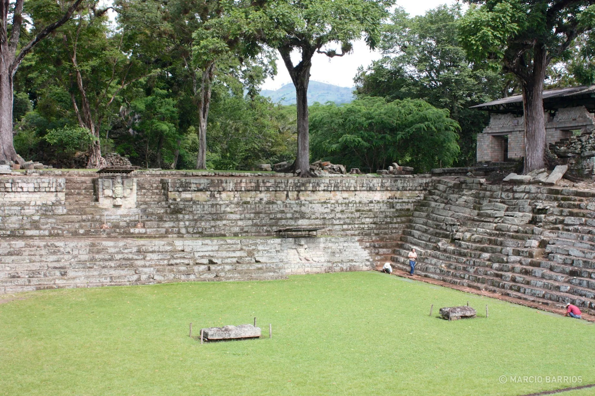 The West Court of Copán The West Court of Copán