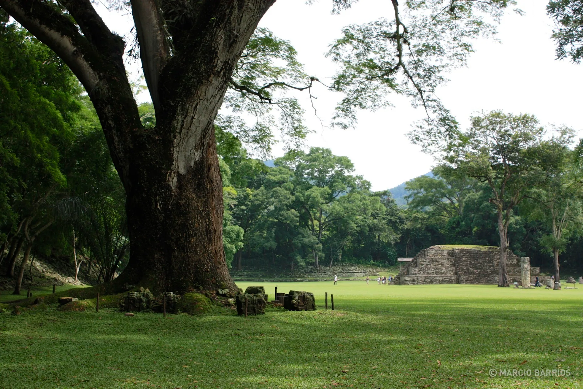 Main group of Copán Main group of Copán
